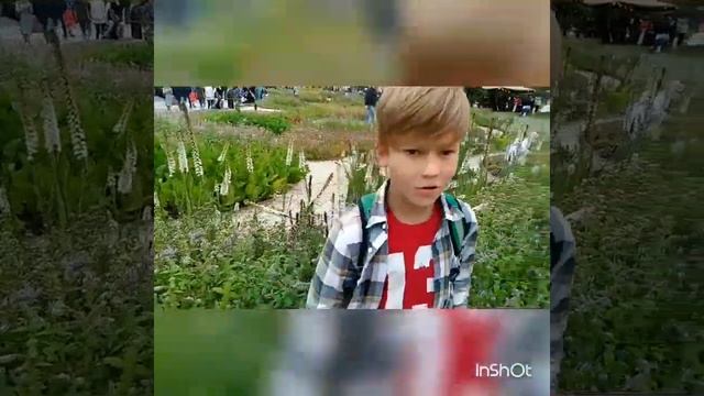 Новая Голландия глазами Миккеля смотреть онлайн