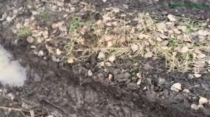 ? Всесезонный мотобуксировщик Ураган Медведь - испытания с колесным модулем