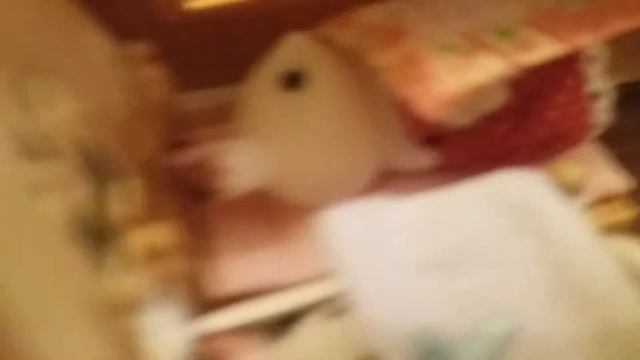 2 часть распаковки Сильвания фэмили смотреть онлайн