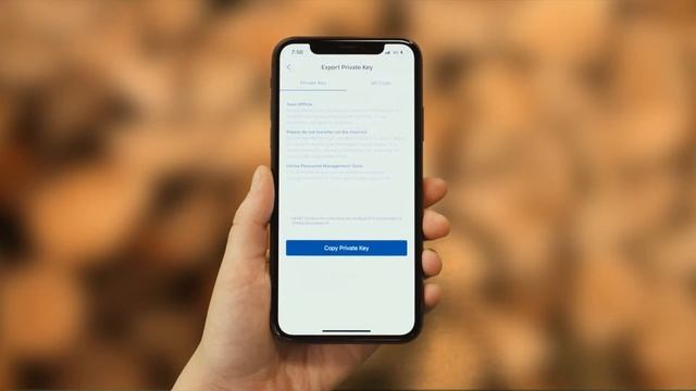 imToken 2.0 - How To back up your wallet using Private key and Keystore смотреть онлайн