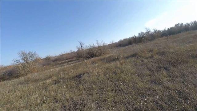 Охота на зайца. Со спаниелем, осень 2019 смотреть онлайн