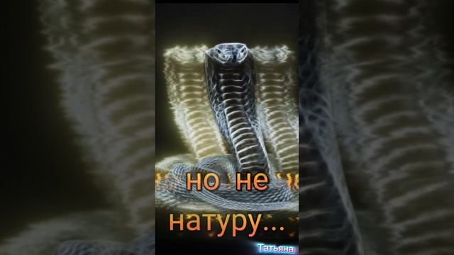 💖Статусы со смыслом💖 смотреть онлайн