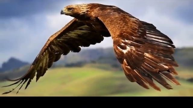 Я ЕСМЬ Казахстан (мантра) смотреть онлайн