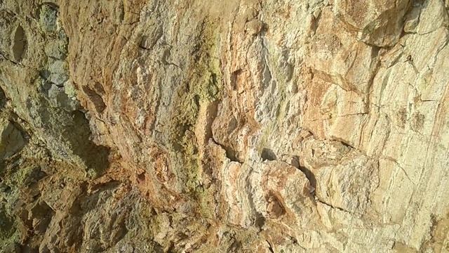 Глина белая,красная,зеленая,желтая в одном месте смотреть онлайн