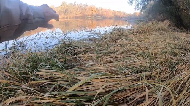 ЖОР ЩУКИ. УСТАЛ ДОСТАВАТЬ. Клев щуки. Ловим на спиннинг с берега на вертушку. Цвет решает. смотреть онлайн