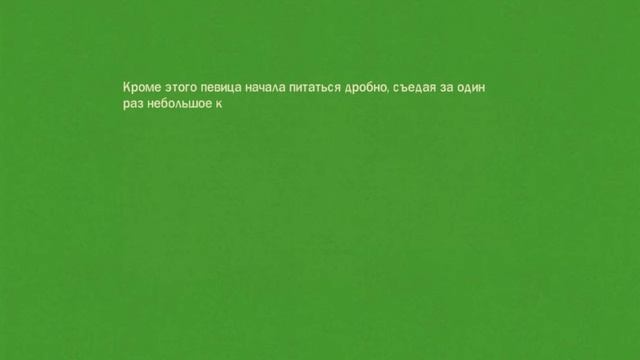 Диета от актрисы Светланы Ходченковой смотреть онлайн