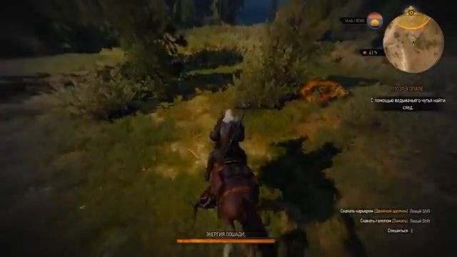 The Witcher 3: Wild Hunt - Часть 14 (Стрим) смотреть онлайн