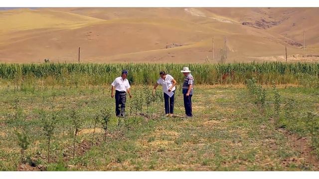 Боролдой айылынын Гимни. Гимн села Боролдой 2019 год. смотреть онлайн