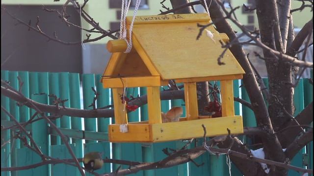 Исследовательский проект 