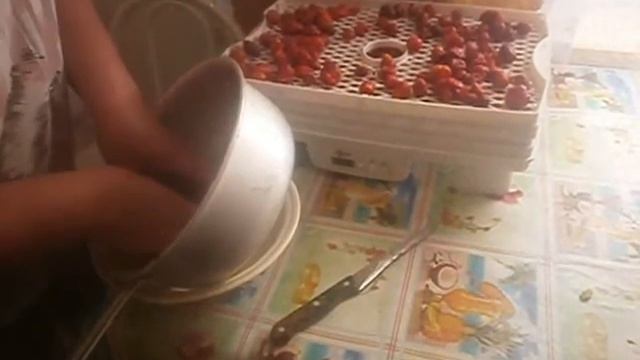 сушеная клубника
