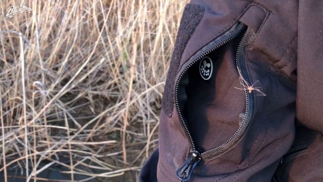 Весенняя Астрахань 2023, такого мы не ожидали, вобла, вобла и вобла. смотреть онлайн