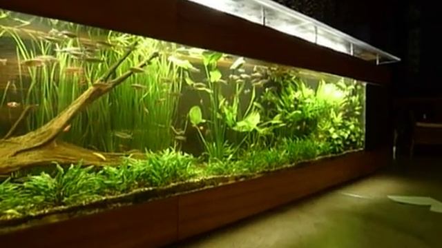 18ftBarCounter смотреть онлайн