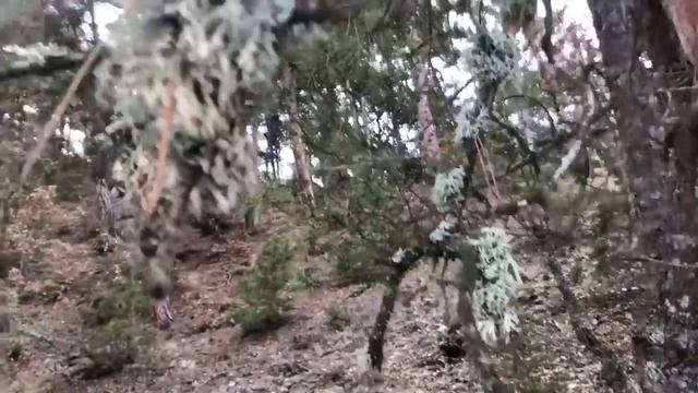Barış Okan Belovacıklı Köpeği İle İmtihanı смотреть онлайн