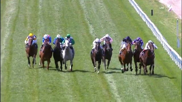 Puissance de Lune and Budrigez dead heat смотреть онлайн