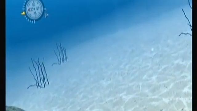 Let's Play Endless Ocean - Bonus Video 3f [Map Filling] смотреть онлайн