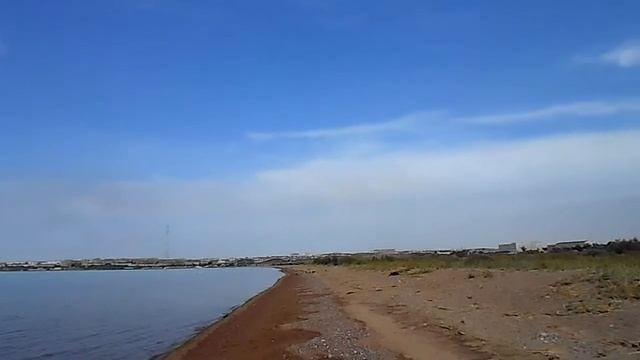 На приятном пляже чайка плавает на обратном пути со Старой площадки смотреть онлайн