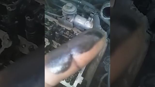 Киа карнивал, куда уходить масло двигателя... смотреть онлайн