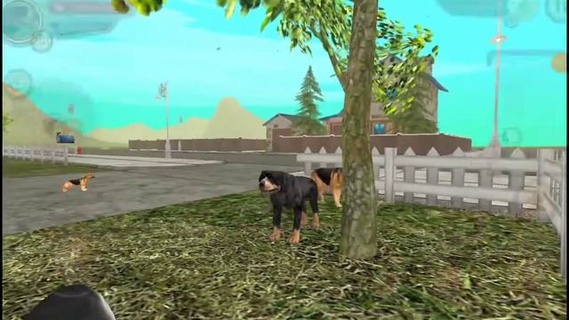 аккаунт в дог сим с большими уровнями + щенок, бессмертие, скорость, целебная атака.(на 1 персе)