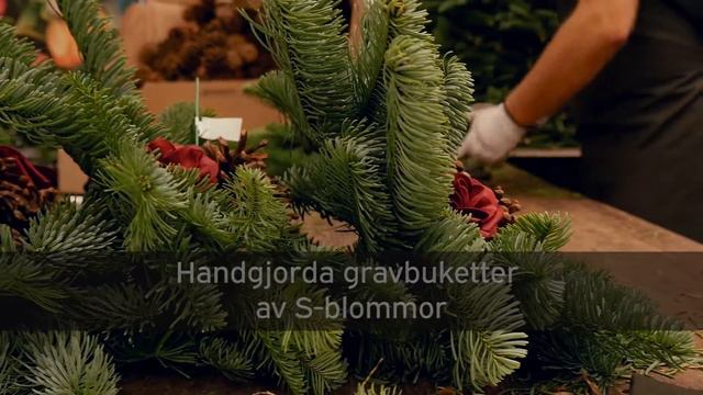 Egen produktion Gravbuketter смотреть онлайн