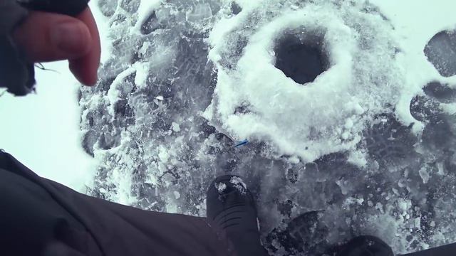 ВЕСЬ УЛОВ ИЗ ДВУХ ЛУНОК !!! Рыбалка 2019. Ловля окуня и судака на балансир . смотреть онлайн