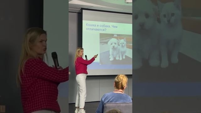 Чем отличается кошка ?от собаки? смотреть онлайн