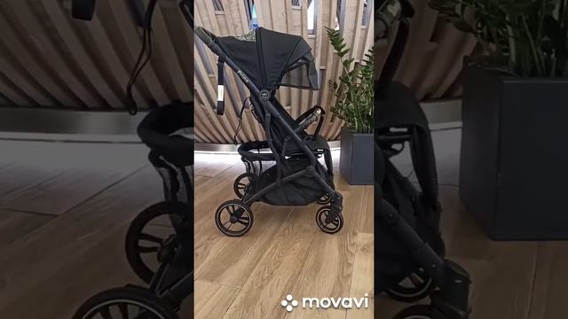 DANKI Prime TREND  ПОЛНЫЙ ОБЗОР РАСЦВЕТОК