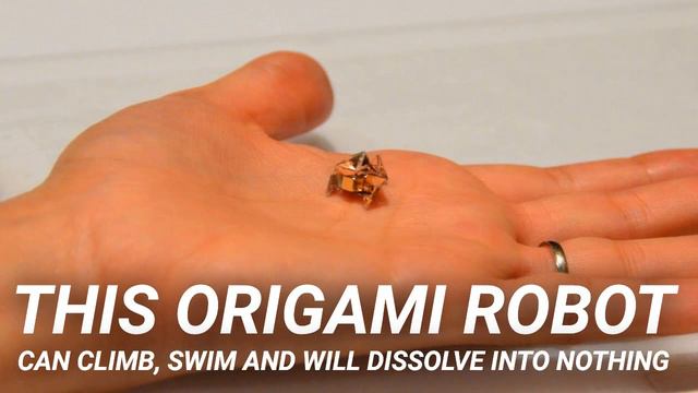 This Origami Robot Can Climb, Swim And Will Dissolve Into Nothing смотреть онлайн