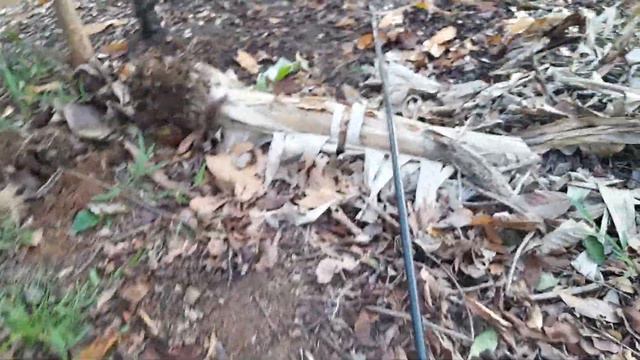 Como instalar riego en el cultivo de maracuyá смотреть онлайн