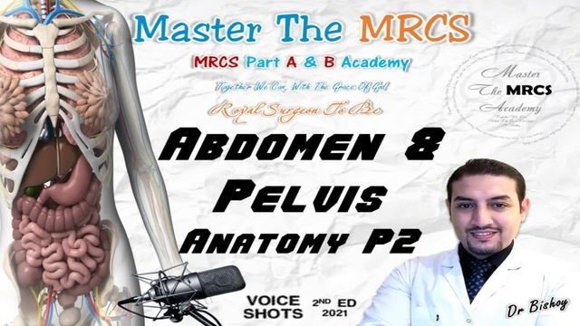 MTM Upper Abdomen and Pelvis Anatomy P2 Voice Shots Dr Bishoy 9 2021 смотреть онлайн