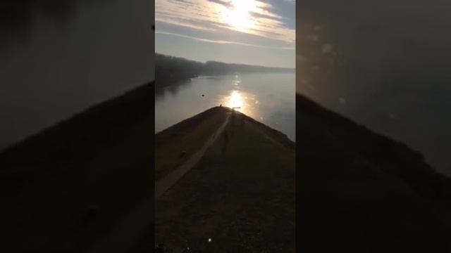 video 1481469685 смотреть онлайн