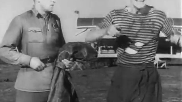 Пётр Алейников в фильме "Трактористы" (1939) (Савка) смотреть онлайн
