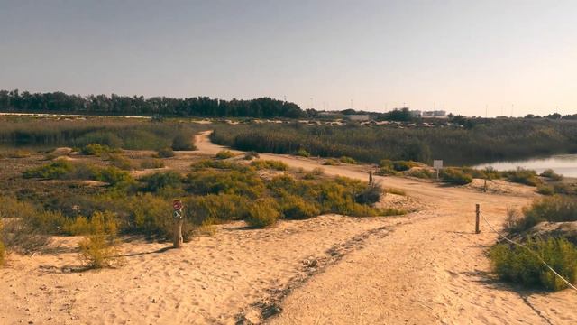 Al Wathba Wetland reserve (ru) 2021 смотреть онлайн