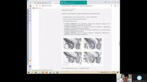 ХРОНИЧЕСКИЙ ПАРАПРОКТИТ. ОСОБЕННОСТИ ХИРУРГИЧЕСКОГО ЛЕЧЕНИЯ.