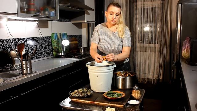 Цирковые Представления и Шоу