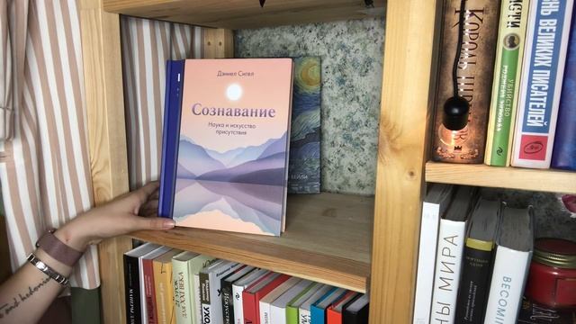 ДАЕШЬ КНИЖНЫЕ ПОЛКИ! смотреть онлайн