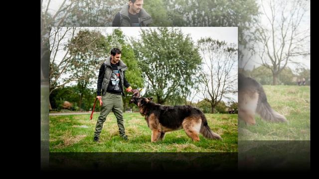 K9 Magazine Photoshoot with magician Dynamo смотреть онлайн