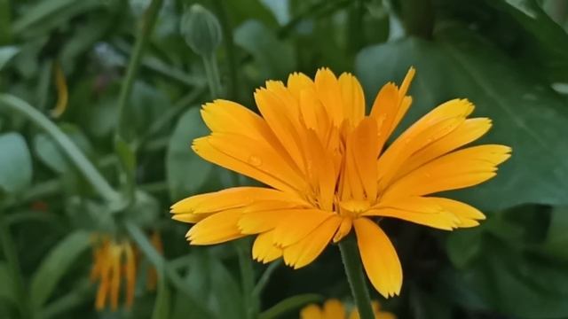23 апреля Красная Горка. Антипасха. Что нельзя делать 23 апреля. Народные традиции и приметы. смотреть онлайн
