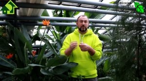 4 ВАЖНЫХ ВОПРОСА О БИОПРЕПАРАТАХ. Что умеет триходерма, можно ли переборщить и что с чем смешивать?