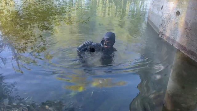 Подводная охота#раки#осень 2022 смотреть онлайн