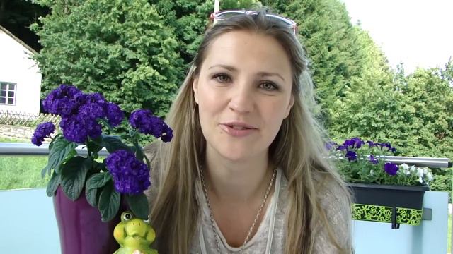 ОТВЕТЫ/ВОПРОСЫ от Harmony inAustria: ссылки, жизнь в горах, картавость блоггеров смотреть онлайн