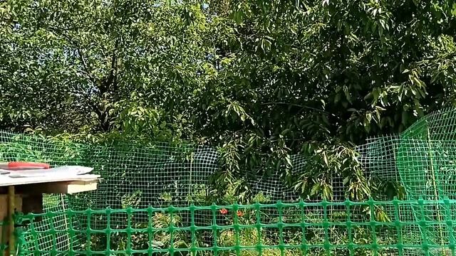 СТРОИМ ВЫГУЛ ДЛЯ УТЯТ.  ЗАПЕКАНКА и Полезный ОБЕД. Я в Городе по магазинам. Что купила?