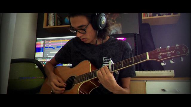 Eagles - Hotel California (live 1994) Instrumental Cover