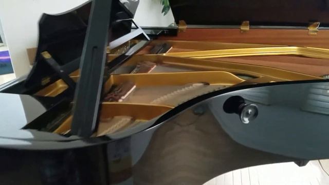 Bechstein Model A-190 Grand Piano. 6'3" Ebony смотреть онлайн
