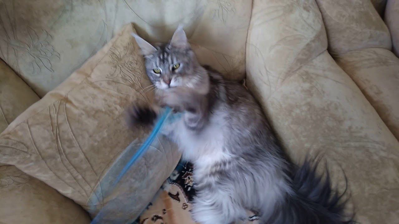 Котег смотреть онлайн