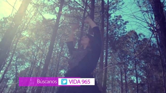 Vida Monitor 10 смотреть онлайн