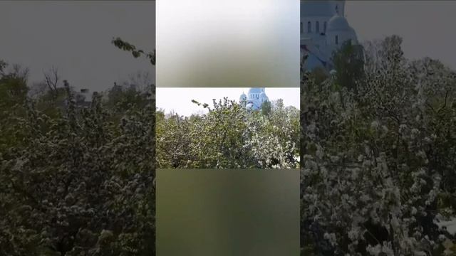 стих. текст и исполнение Алла Бондарева смотреть онлайн