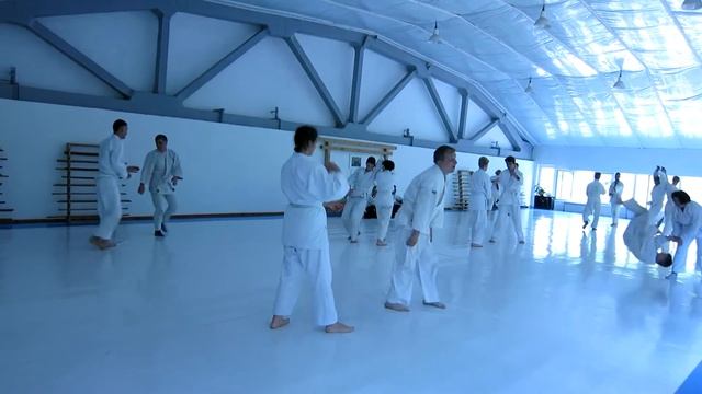 25/06/2016 Айкидо Айкикай Аттестация V Kyu Ketty Horbal' (03) смотреть онлайн