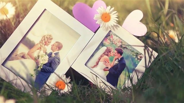 Свадебный видео альбом №2 смотреть онлайн