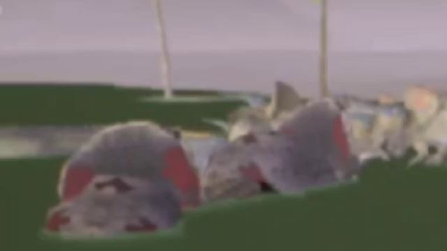 будни Галлимима [the Cursed Isle]