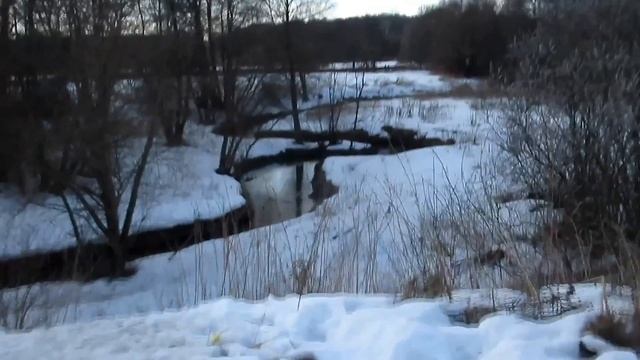 Полноводная речка Серебрянка , мостик, почки ивы и дятел!) смотреть онлайн